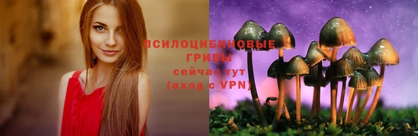 крисы Сафоново