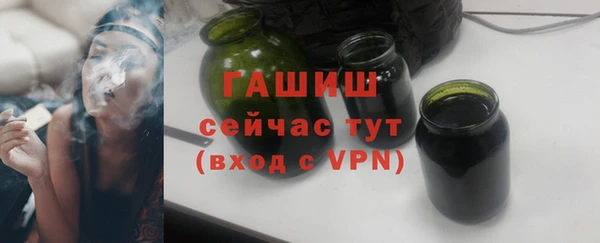 индика Арсеньев