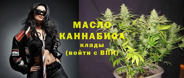 индика Арсеньев