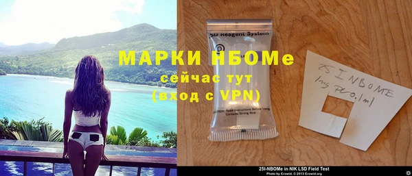 индика Арсеньев