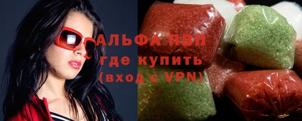 индика Арсеньев